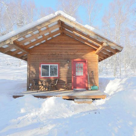 Spruce Cabin Talkeetna Eksteriør billede