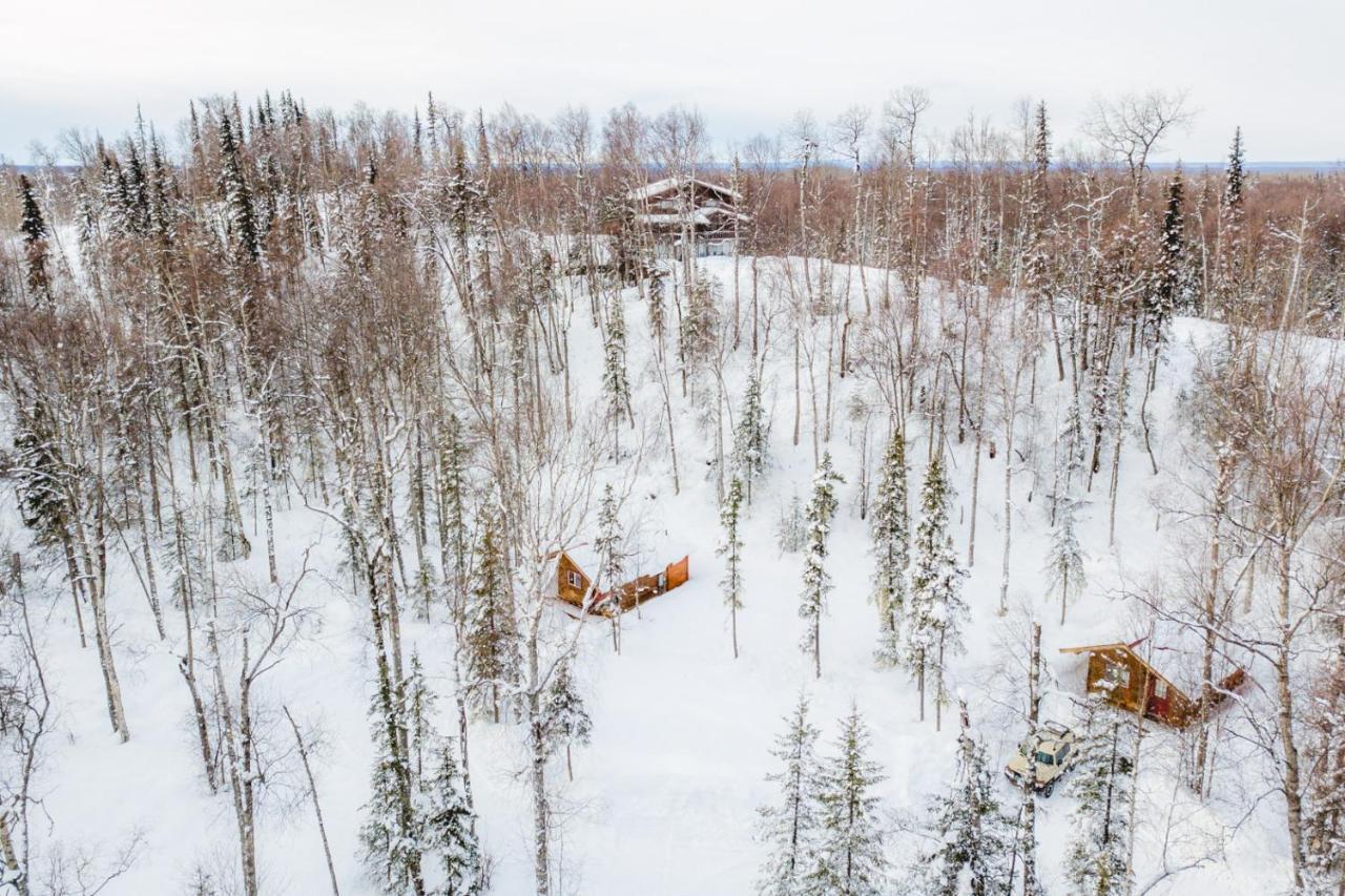 Spruce Cabin Talkeetna Eksteriør billede
